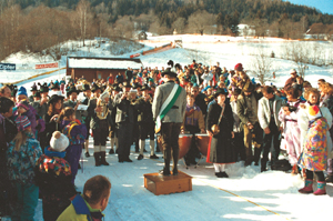 EM 1993